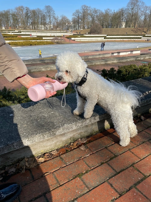 2-in-1 Trinkflasche & Futterspender für Hunde – Perfekt für unterwegs