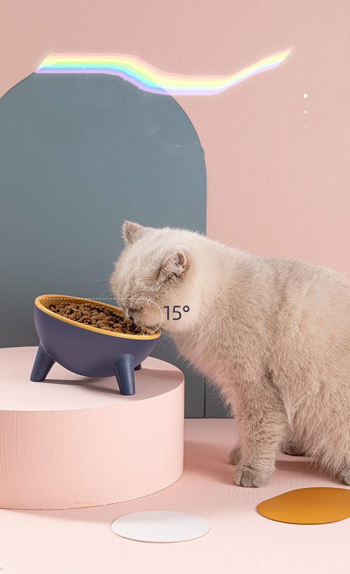 Ergonomischer Katzen/Hunde Napf in verschiedenen Farben