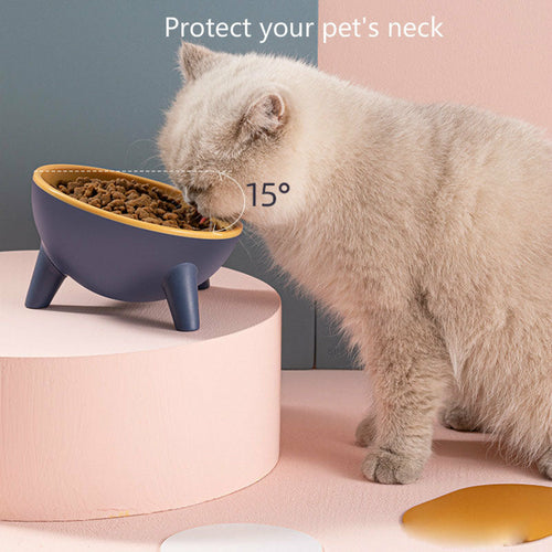 Ergonomischer Katzen/Hunde Napf in verschiedenen Farben