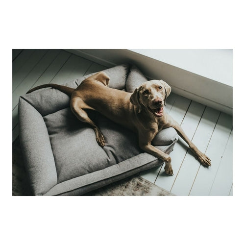 Hundesofa Hunter in Grau, 70 × 50 cm