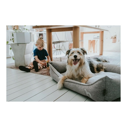 Hundesofa Hunter in Grau, 70 × 50 cm
