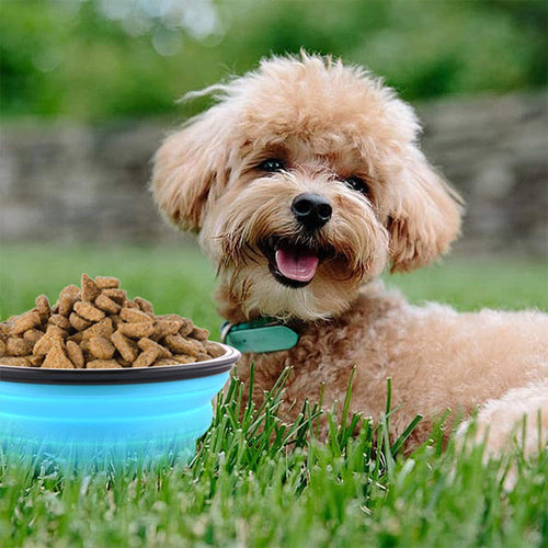 Faltbarer Silikonnapf für Hunde – 350 ml