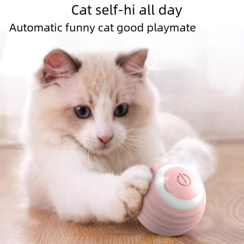 Automatischer rollender Katzenball – Intelligentes selbstspielendes Katzenspielzeug