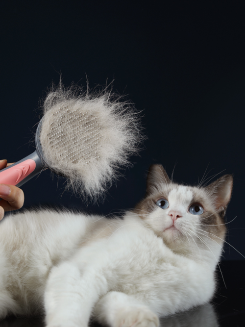 Fellpflegebürste für Hunde und Katzen