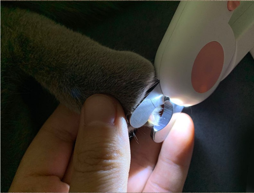 LED Krallenschere für Haustiere – Krallenschneider für Hunde und Katzen